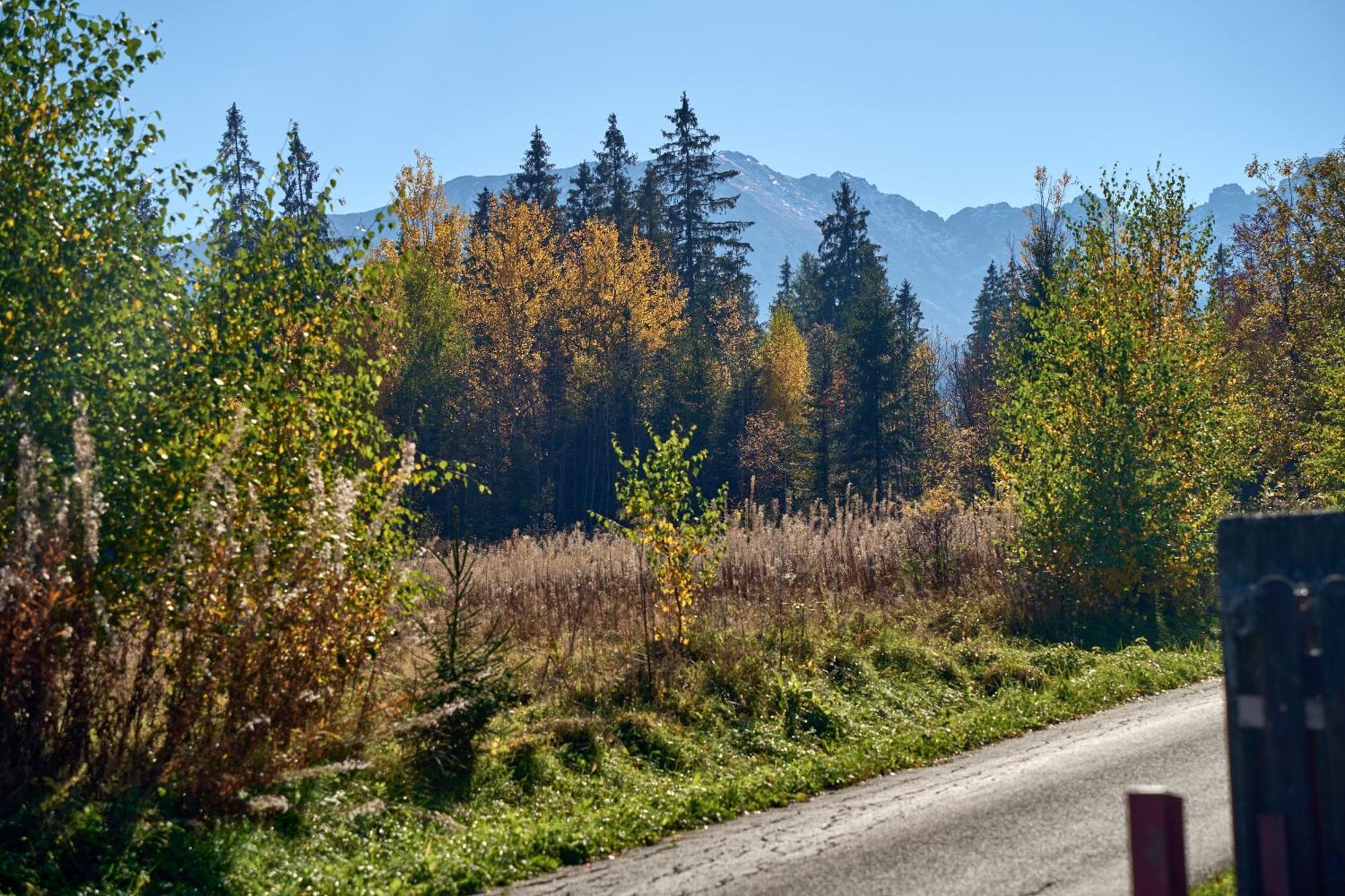 Domek Slebodny Uplaz Zakopane Bagian luar foto