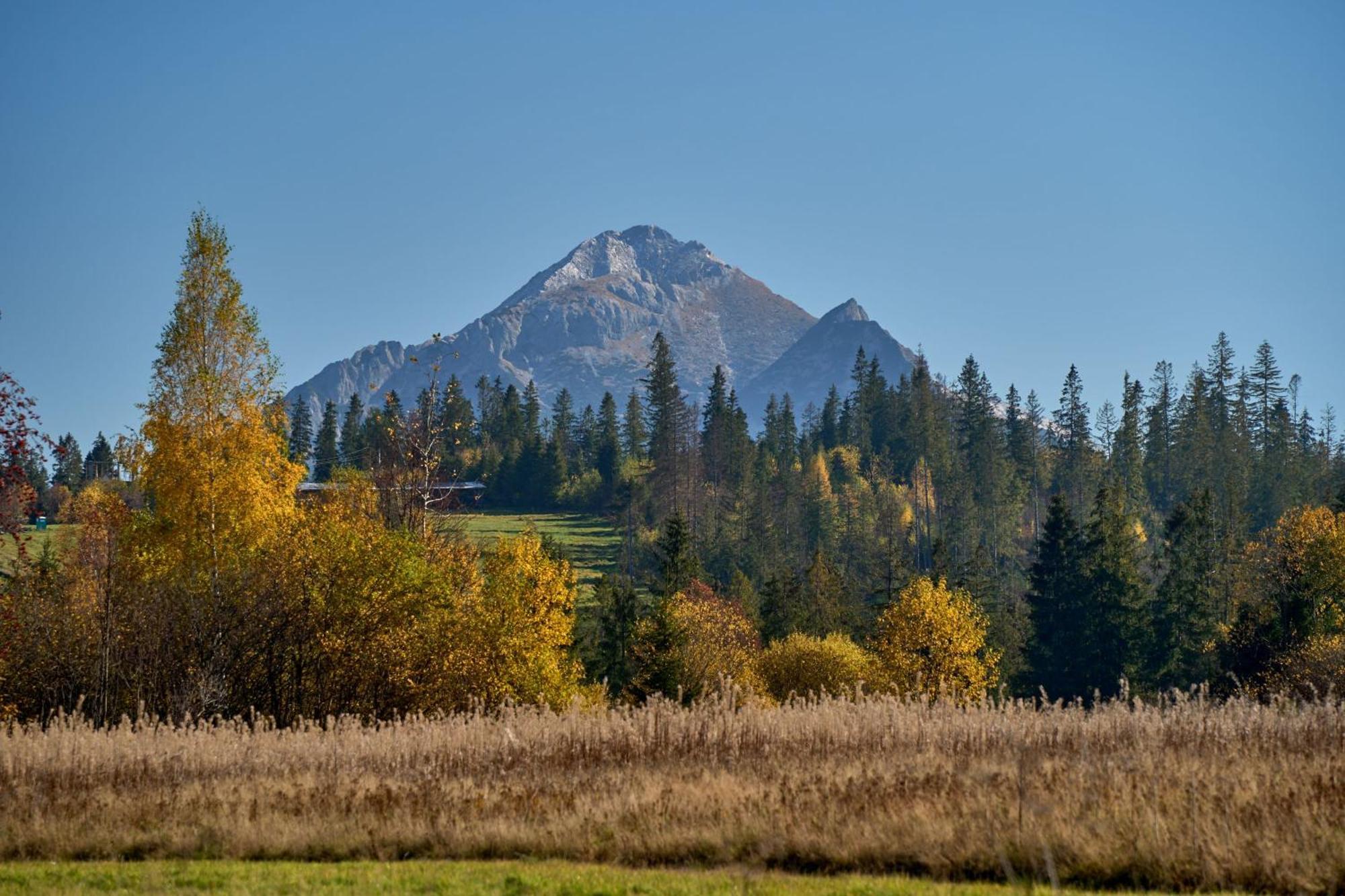 Domek Slebodny Uplaz Zakopane Bagian luar foto